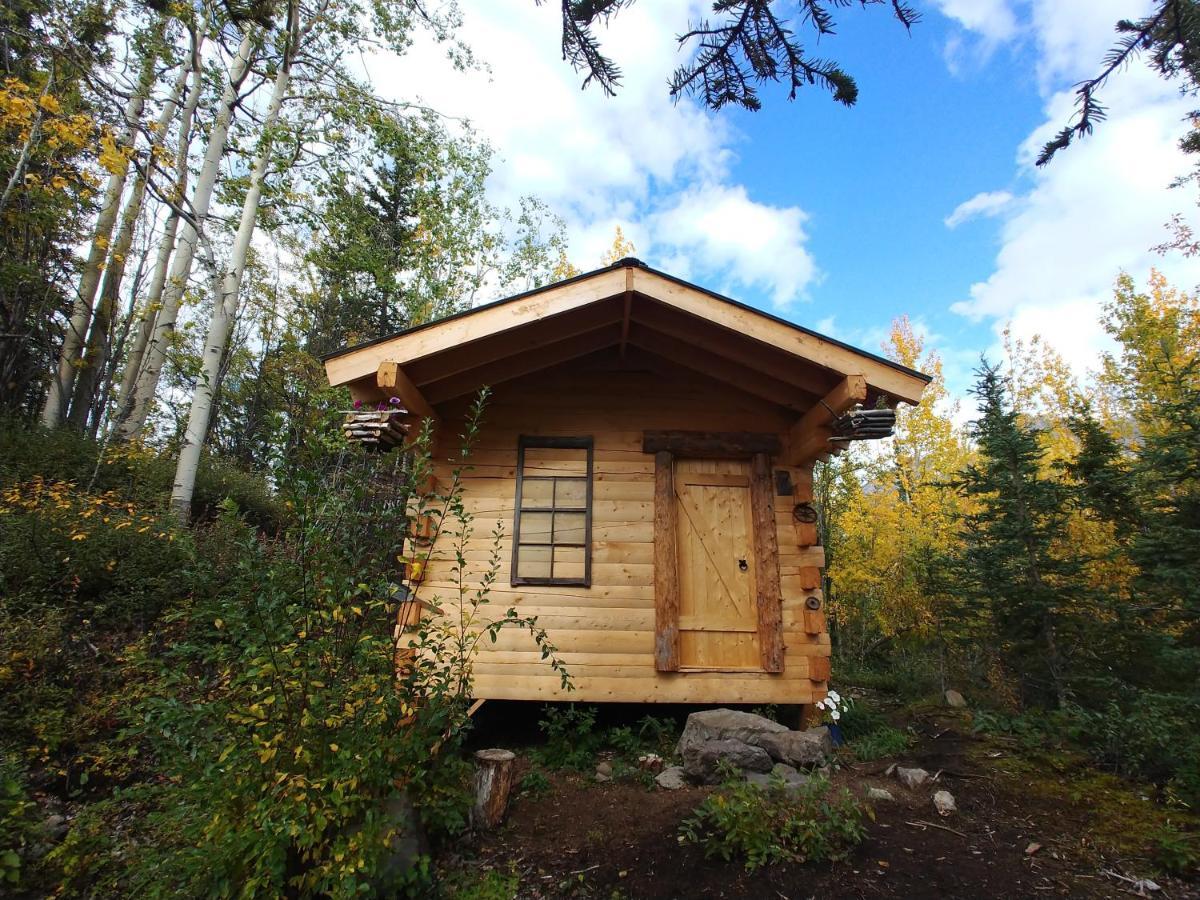 Blackburn Cabins - Mccarthy, Alaska Eksteriør bilde