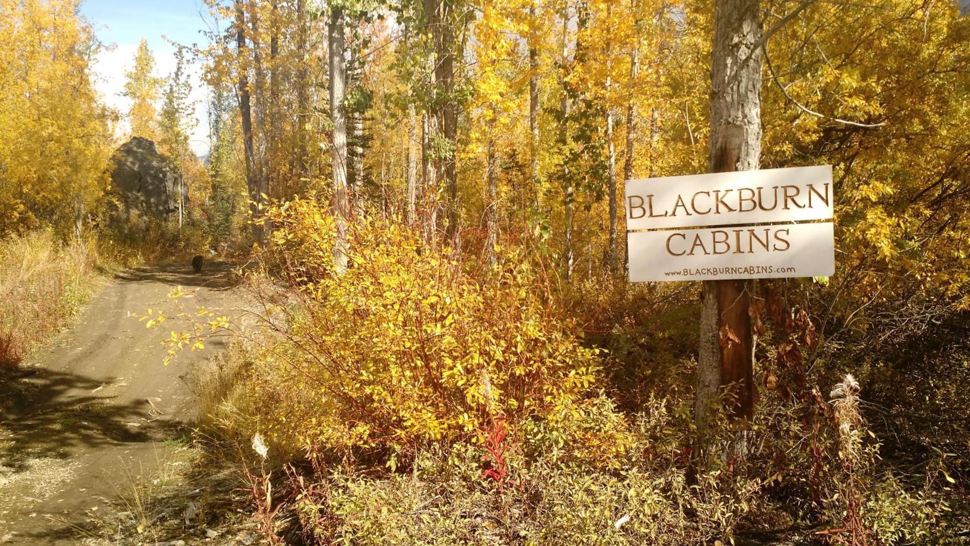 Blackburn Cabins - Mccarthy, Alaska Eksteriør bilde