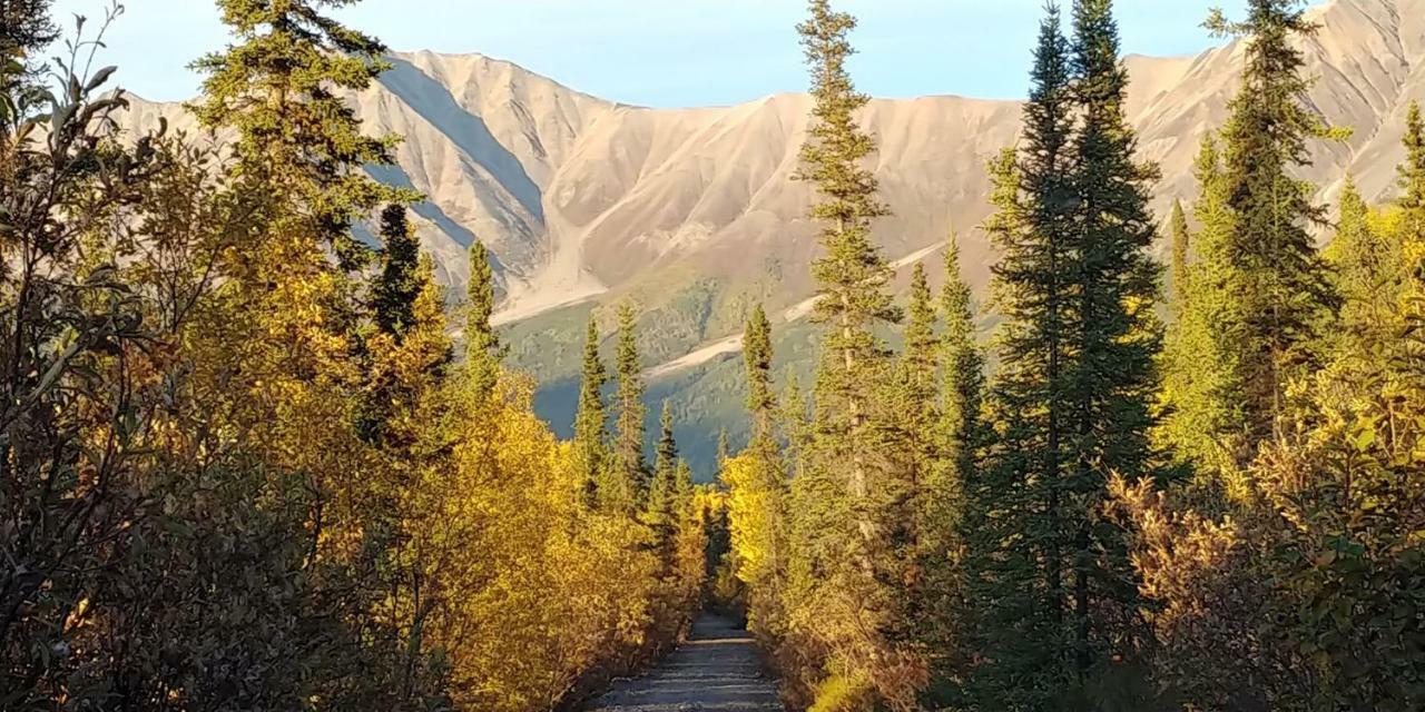 Blackburn Cabins - Mccarthy, Alaska Eksteriør bilde